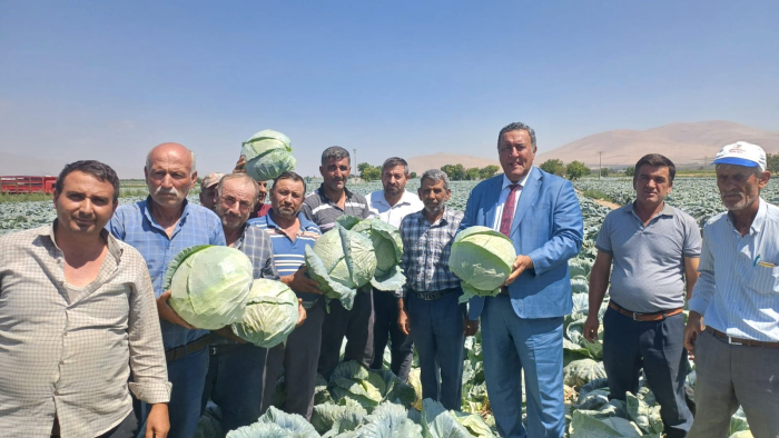 Gürer " Niğde İli Lahana Üretiminde Türkiye İkincisidir "