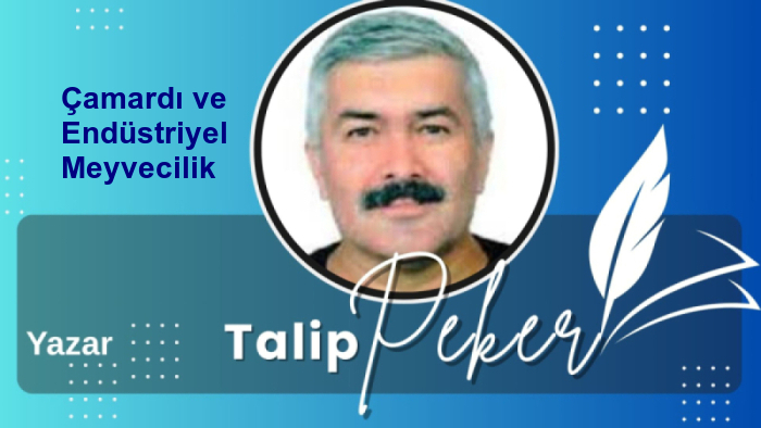 Çamardı ve Endüstriyel Meyvecilik