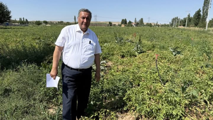 Gürer " Kuraklık Yalnız Üretimi Vurmuyor "